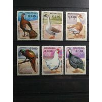 Никарагуа 1985 г. Птицы.