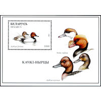 1996 БЕЛАРУСЬ  блок коллекционных марок Красноголовый нырок  MNH