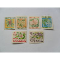 Либерия, цветы