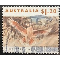Австралия 1993. Розовый попугай