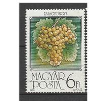 К У П Л Ю  Марку почтовую. Венгрия 1986 год из серии Ягоды и фрукты