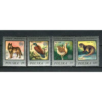 Польша - 1977 - Фауна - [Mi. 2504-2507] - полная серия - 4 марки. MNH.  (Лот 95Gw)-T4P22
