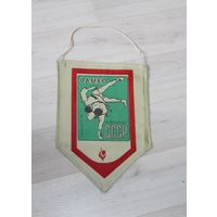 Вымпел, чемпионат по самбо, из СССР, Ташкент.