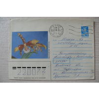 1988, ХМК, Марков О., Оранжерейные растения; подписан.