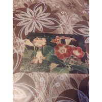 Открытка,цветы,подписана,1959