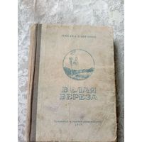 Белая береза 1949г\3д