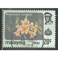 Малайские штаты(Джохор). Цветы. Рододендрон. 1979г. Mi#173.