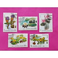 СССР. Водные растения. ( 5 марок ) 1984 года. 11-13.