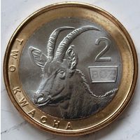 Замбия 2 квачи 2024 год