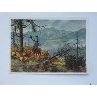 Минсвязи СССР Олень 1960-е 10х15 см