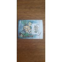 Беларусь. Грибы. 1999г. чистый блок