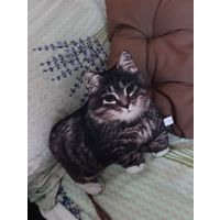 Котик мягкая игрушка подушка для детей без ворса
