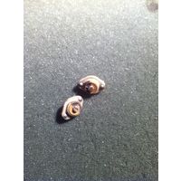 Конденсатор подстроечный, 3-20пФ (цена за 1шт)