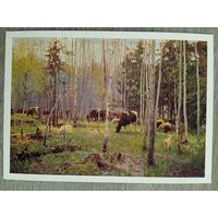 1958. Грицай. Первая зелень
