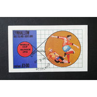 Эйнхаллоу. Шотландия 1974 г. Чемпионат мира по футболу 1974 года. Блок #0124-С1P20