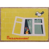 Поздравляю. Пинская типография. Начало 1960-х. Двойная. Подписана.