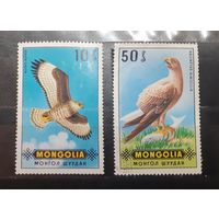 Монголия. Фауна. Птицы (418)