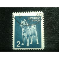 Япония, 1989. Собака Акита Ину