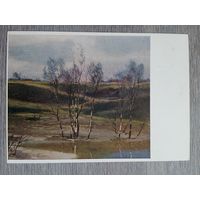 1955. Камзолкин. Весной