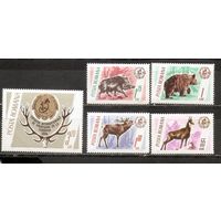 ФФ1 Румыния 1965 Фауна