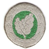 Квалификационная нашивка инструктора парашютно-десантных спецопераций Бундесвера