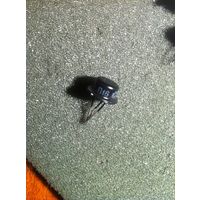 Транзистор П16