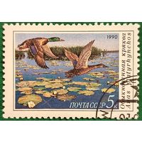 СССР 1990. Обыкновенная кряква. Марка из серии