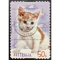 Австралия 2004. Котята