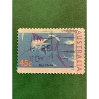 Австралия 1995. Чёрный марлин