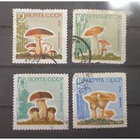 СССР. 1964 год. Флора. Грибы