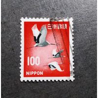 Марка Япония 1961 год Птицы