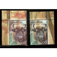Беларусь. 2008. Стандарт. Европейский зубр (5000р) мел + офсет