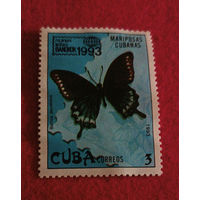 Куба, бабочка