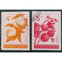 Болгария 1965 ягоды 2 из 6, клей.