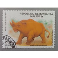 Динозавр. Мадагаскар