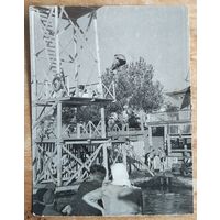 Фото из СССР. Соревнования по прыжкам в воду. 1950 г. Астрахань. 9х12 см.