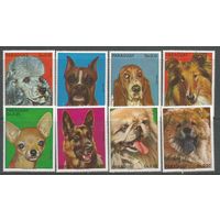 Парагвай. Собаки. 1975г. St#2655-62. Серия.