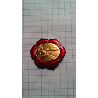 Пекин. Летний императорский дворец. Парк Ихэюань, мост Шицикунцзяо.