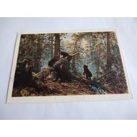 Открытка 1961г. И. Шишкин. Утро в сосновом лесу.
