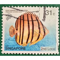 Сингапур 2004. Тропические рыбы. Восьмиполосая рыба-бабочка