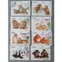 Куба детеныши животных 8шт