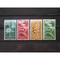 Испанская Гвинея 1959 Цветы