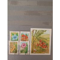 Флора Афганистан