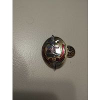 Продам знак Академия МУС 50