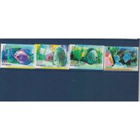 Марки РБ, Аквариумные рыбы, 2006