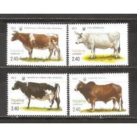 ФФ1 Украина 2015 Коровы