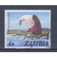 [1971] Замбия 1975. Фауна.Хищные птицы.Орлан-крикун. Гашеная марка.