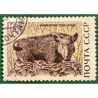 СССР 1969. Фауна. Кабан. Марка из серии