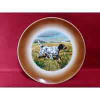 С рубля без мц. настенная тарелка "спаниель". диам 20см.