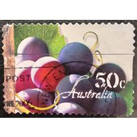 Австралия 2006. Флора. Виноград